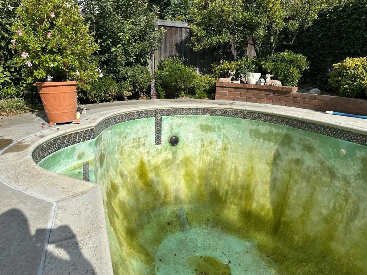Drained spa with algae staining exposed before acid wash treatment in Huntington Beach, CA
